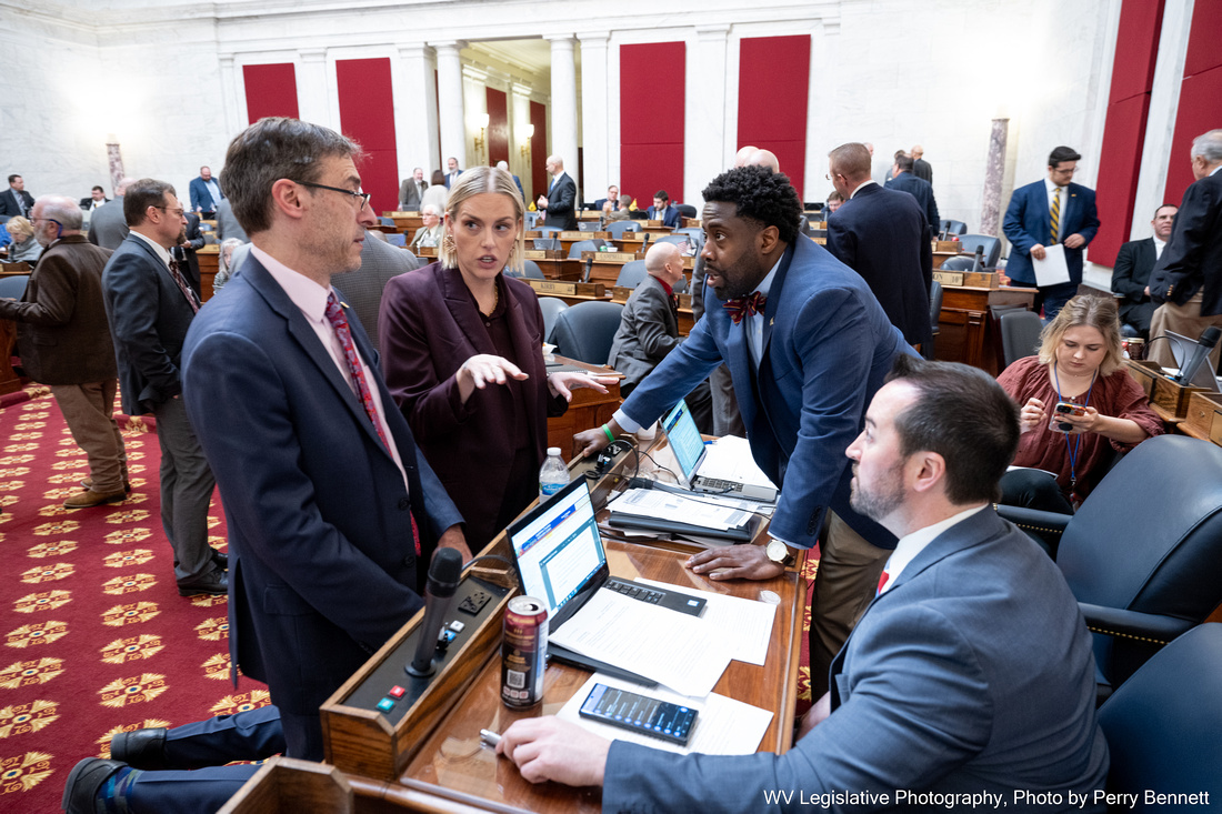 House adds additional right to ‘Women’s Bill of Rights’ | News, Sports ...